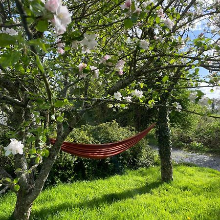 Gite A La Campagne Le Mesnil-Villeman Exteriér fotografie