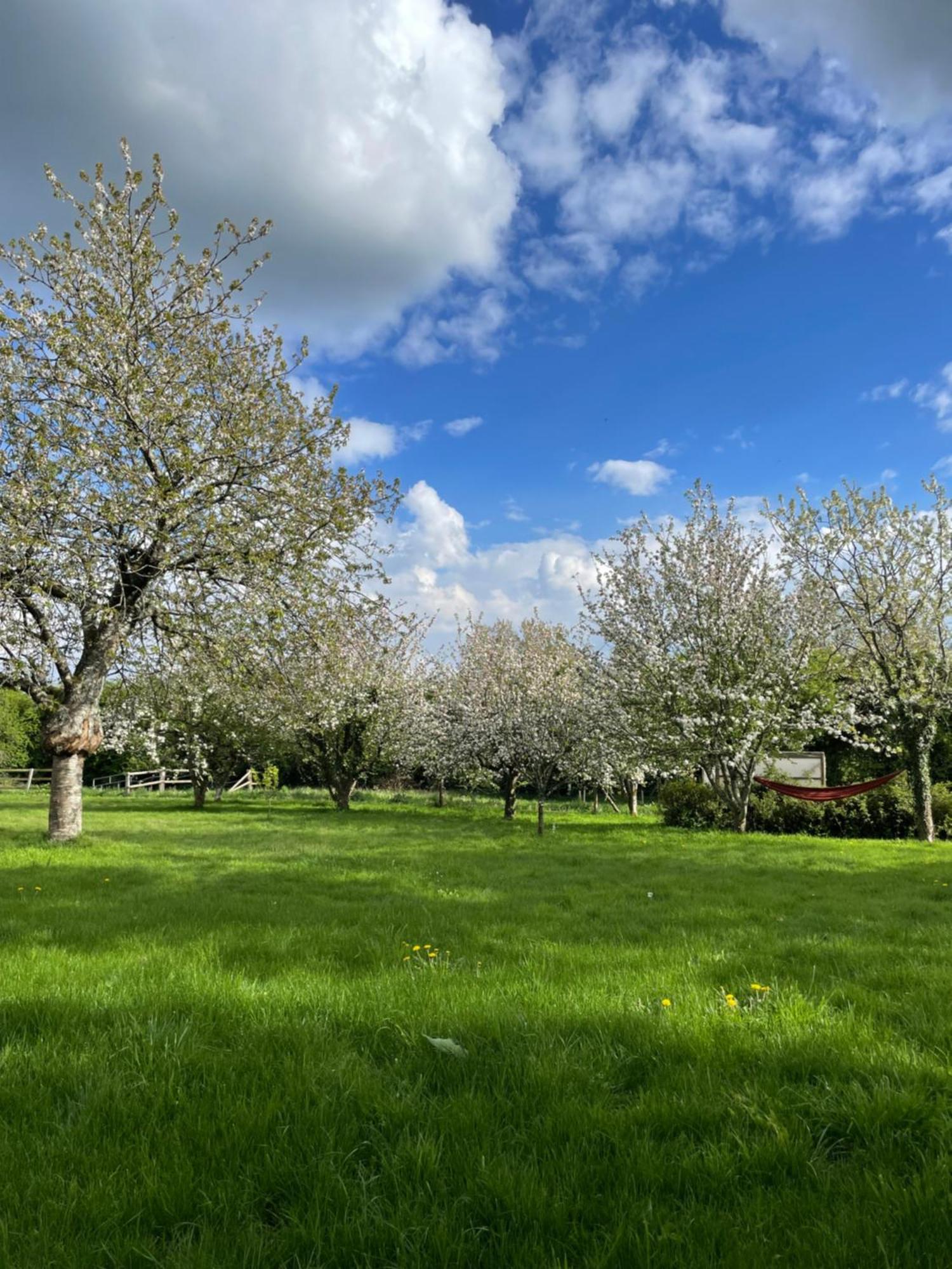 Gite A La Campagne Le Mesnil-Villeman Exteriér fotografie